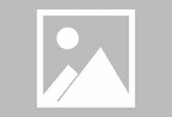 圣子到漫画,漫画世界的奇幻之旅